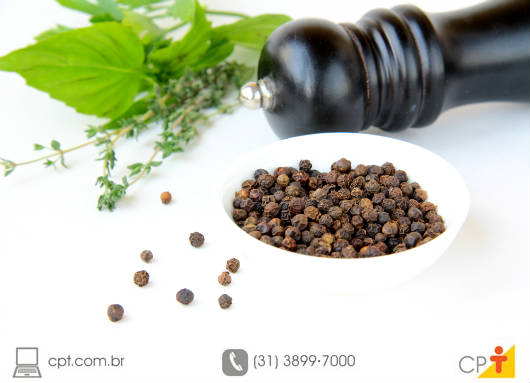 Pimenta-do-reino: dicas para o preparo de mudas Os leitos de enraizamento das mudas de pimenta-do-reino devem ser cobertos para proteção contra a insolação excessiva