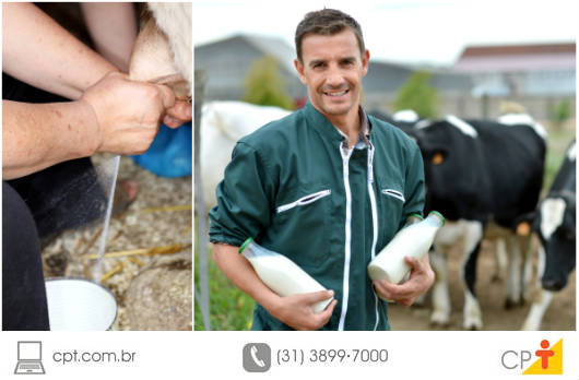 Ordenha e qualidade do leite orgânico O leite orgânico corre o risco de ser contaminado e se deteriorar, se a ordenha e a conservação não forem feitas de forma adequada