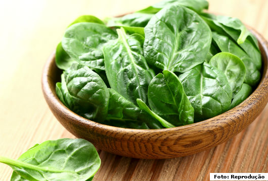 Horta caseira - 6 verduras que você tem de ter em sua casa