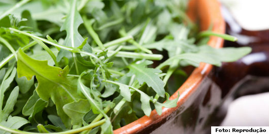 Horta caseira - 6 verduras que você tem de ter em sua casa