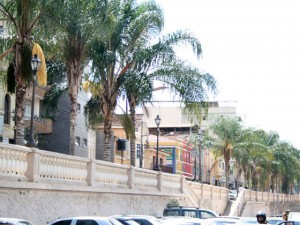 Avenida Bueno Brand&atilde;o