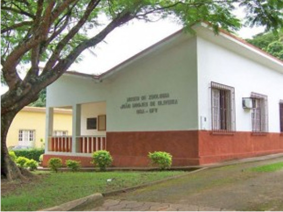 Museu de Zoologia