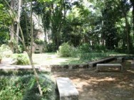Horto Florestal