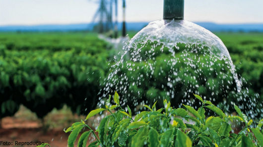 Exame reproducao e processamento de recursos florestais
