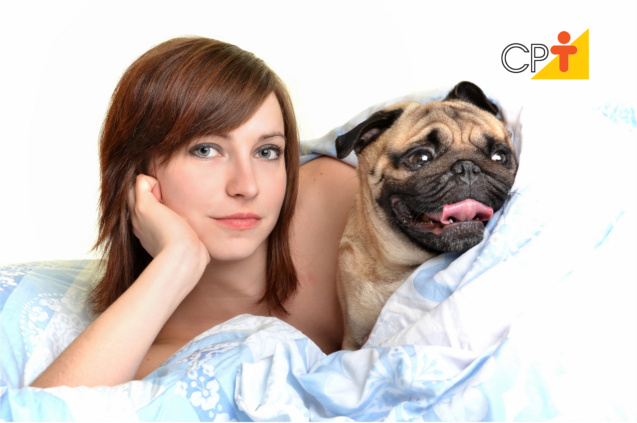 Comunicação entre cães e humanos Comunicação entre cães e humanos