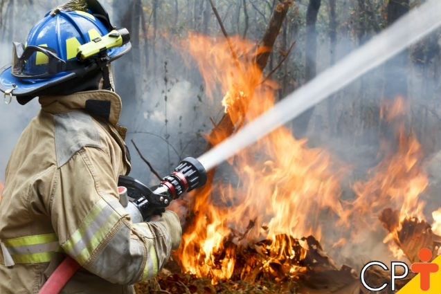 Incêndios florestais: como preveni-los?   Artigos Cursos CPT