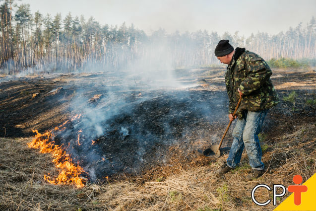 Incêndio florestal e queima controlada: qual a diferença?   Artigos Cursos CPT