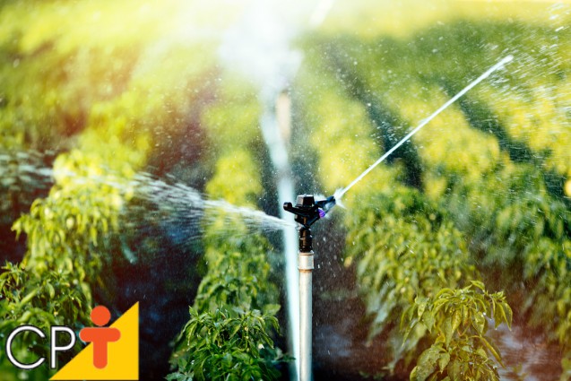 Solos saturados são propícios ao desenvolvimento de plantas? Artigos Cursos CPT Solos saturados são propícios ao desenvolvimento de plantas? Artigos Cursos CPT