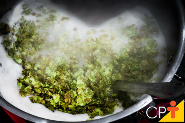 Como os homebrewers cozinham o mostro para fazer cerveja? Dicas Cursos CPT Como os homebrewers cozinham o mostro para fazer cerveja? Dicas Cursos CPT