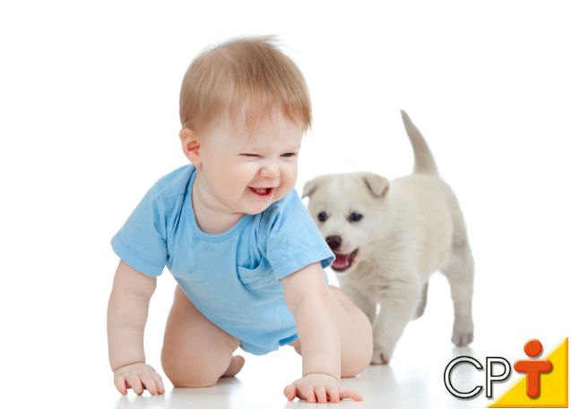 Por que a fase de socialização é importante para os cães? Artigos Cursos CPT Por que a fase de socialização é importante para os cães? Artigos Cursos CPT