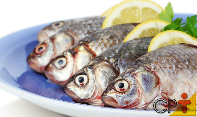 Por que os peixes se deterioram rapidamente? Dicas Cursos CPT Por que os peixes se deterioram rapidamente? Dicas Cursos CPT