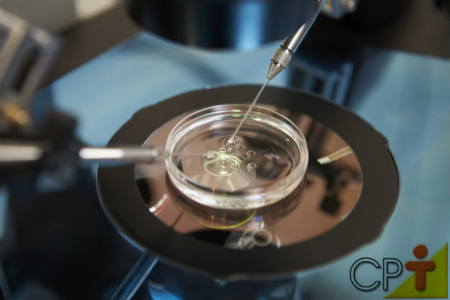 Como garantir o sucesso na inseminação artificial de equinos? Artigos Cursos CPT Como garantir o sucesso na inseminação artificial de equinos? Artigos Cursos CPT