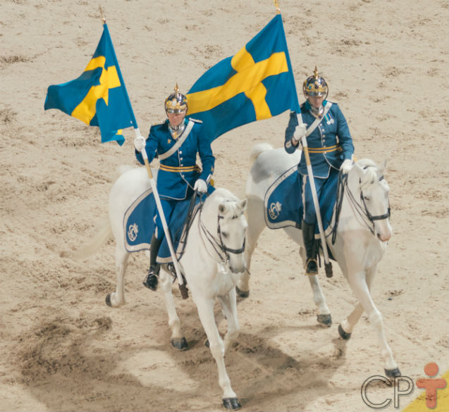 Tire sua dúvida: Por que os cascos dos cavalos se desgastam?   Artigos Cursos CPT