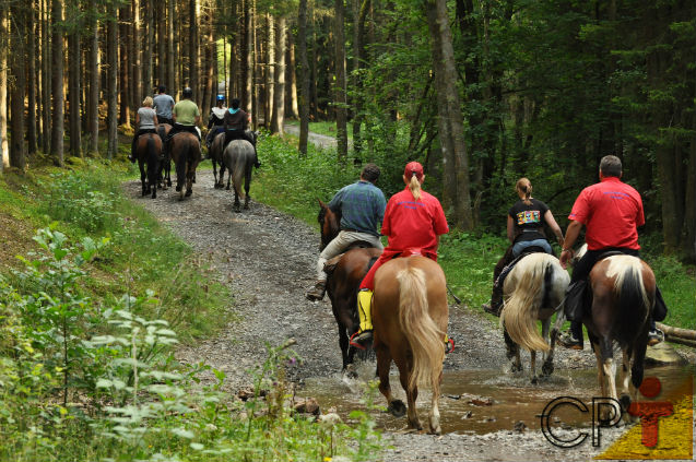 No Turismo Rural, trilhas e cavalgadas   Artigos Cursos CPT