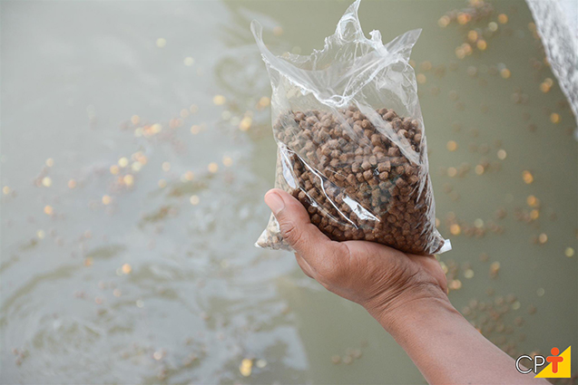 Alimentação de peixes Alimentação de peixes