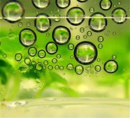 O biodiesel é obtido a partir da biomassa renovável e pode substituir os combustíveis fósseis em motores a combustão ou na geração de energia.