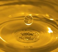 O Brasil apresenta-se como forte candidato a líder mundial na produção e exportação do biocombustível.