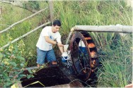 Esse tipo de turismo deve estar sempre comprometido com a convivência harmoniosa das práticas agrícolas e com o modo de vida local. https://cptstatic.s3.amazonaws.com/imagens/enviadas/materias/materia1709/m-turismo-.jpg