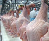 O Brasil exportou 2,51 milhões de toneladas de carne de frango no acumulado de janeiro a agosto deste ano.