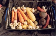 Por causa da rusticidade e da facilidade de adaptação ao cultivo orgânico, essas culturas apresentam um custo de produção muito baixo. https://cptstatic.s3.amazonaws.com/imagens/enviadas/materias/materia2062/m-cultivo-organico-hortaliças-raiz.jpg