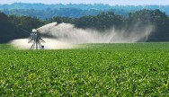É necessário a modernização permanente dos sistemas de produção agrícola, por meio da adoção de técnicas eficientes como a irrigação. É necessário a modernização permanente dos sistemas de produção agrícola, por meio da adoção de técnicas eficientes como a irrigação.