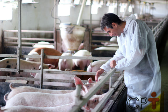 Proteção ambiental na suinocultura: saiba mais! Artigos Cursos CPT Proteção ambiental na suinocultura: saiba mais! Artigos Cursos CPT