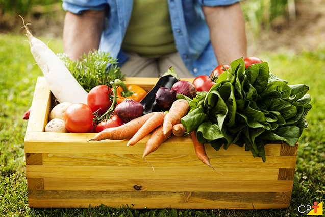 Legumes e hortaliças Legumes e hortaliças