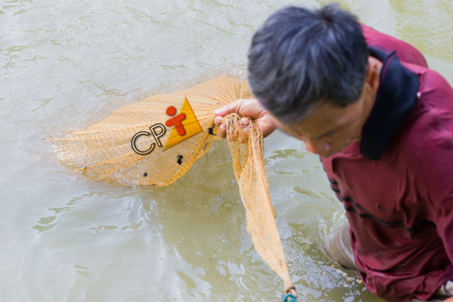 Sistemas extensivos de criação de peixes: sim ou não?   Artigos Cursos CPT