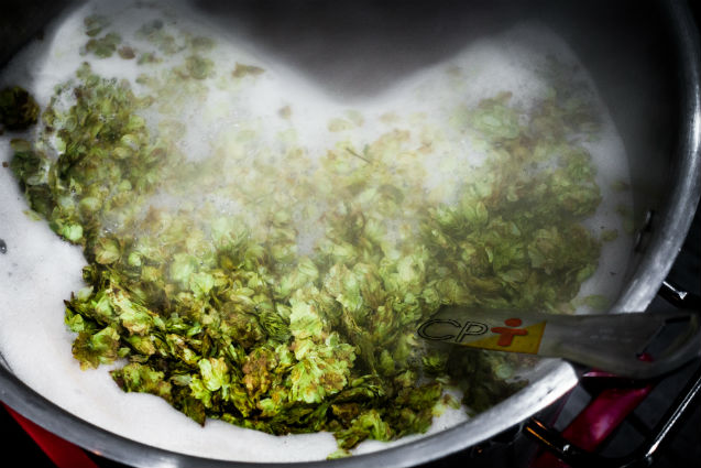 Produção de cerveja artesanal: qual a importância do lúpulo? Artigos Cursos CPT Produção de cerveja artesanal: qual a importância do lúpulo? Artigos Cursos CPT