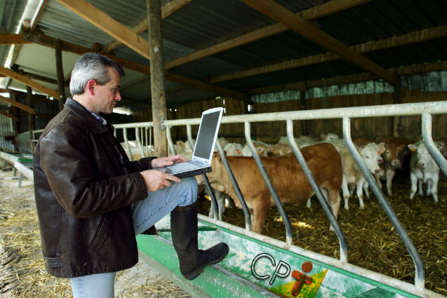 Inventário da propriedade rural: por que e como fazer?   Artigos Cursos CPT