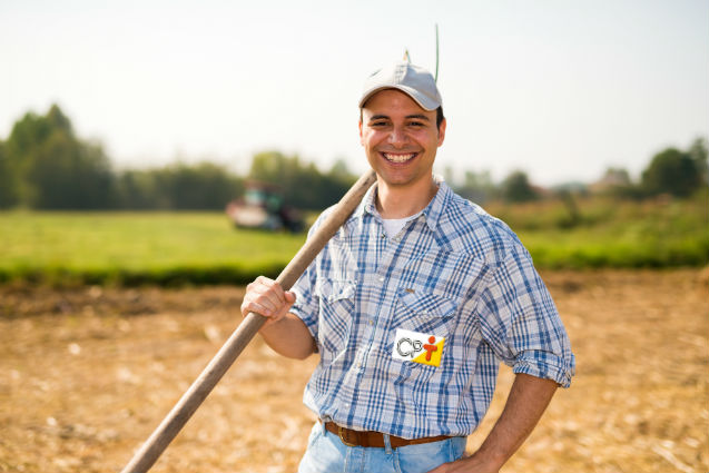 Vai produzir feno? Certifique-se da fertilidade do solo   Artigos Cursos CPT