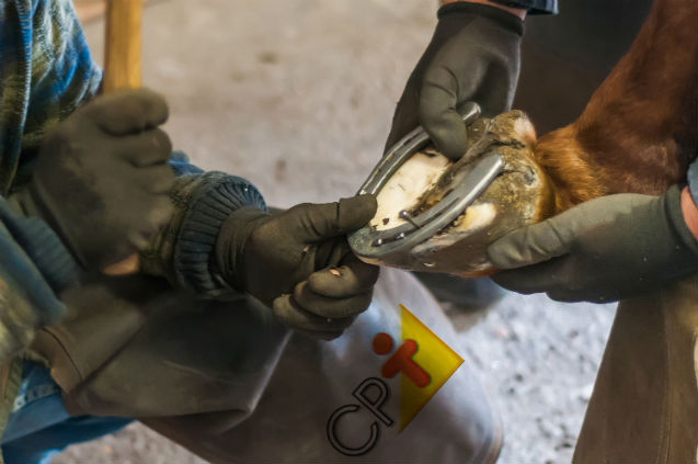 Vai ferrar cavalos? Lembre-se: o equilíbrio do animal é seu objetivo! Artigos Cursos CPT Vai ferrar cavalos? Lembre-se: o equilíbrio do animal é seu objetivo! Artigos Cursos CPT