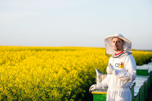 3 segredos do apiário de sucesso: equipamentos, manejo e florada   Artigos Cursos CPT