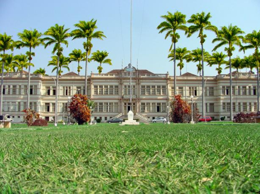 Primavera em Vi&ccedil;osa: conhe&ccedil;a os belos jardins da UFV!