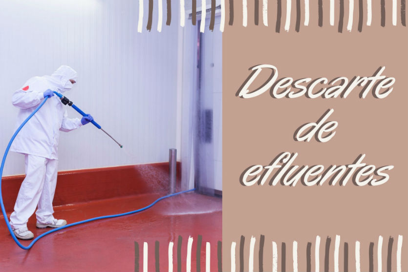O descarte de efluentes em fábricas de embutidos Artigos Cursos CPT O descarte de efluentes em fábricas de embutidos Artigos Cursos CPT