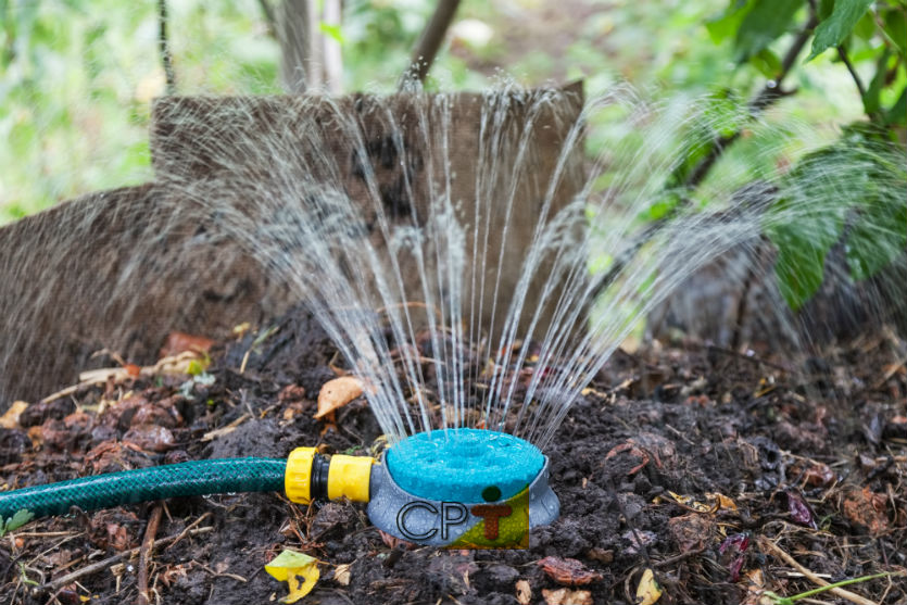 Lixo orgânico? Conheça as fases da compostagem   Artigos Cursos CPT