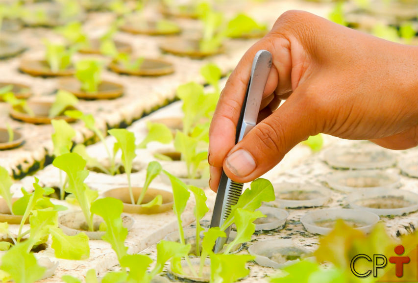 Sistemas de Aquaponia: quais plantas selecionar? Artigos Cursos CPT Sistemas de Aquaponia: quais plantas selecionar? Artigos Cursos CPT