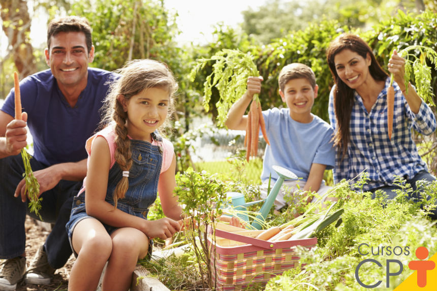 Tem espaço em casa? Cultive organicamente seu próprio alimento!   Artigos Cursos CPT