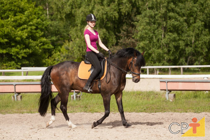 Cavalos: doma racional interativa e imprinting trainning