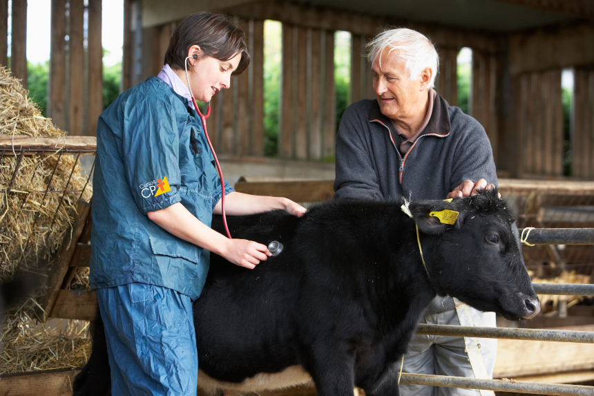 Tuberculose bovina: como a doença se espalha no rebanho Artigos Cursos CPT Tuberculose bovina: como a doença se espalha no rebanho Artigos Cursos CPT