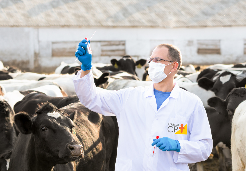 Tuberculose bovina: incurável, contagiosa e um perigo de saúde pública Artigos Cursos CPT Tuberculose bovina: incurável, contagiosa e um perigo de saúde pública Artigos Cursos CPT