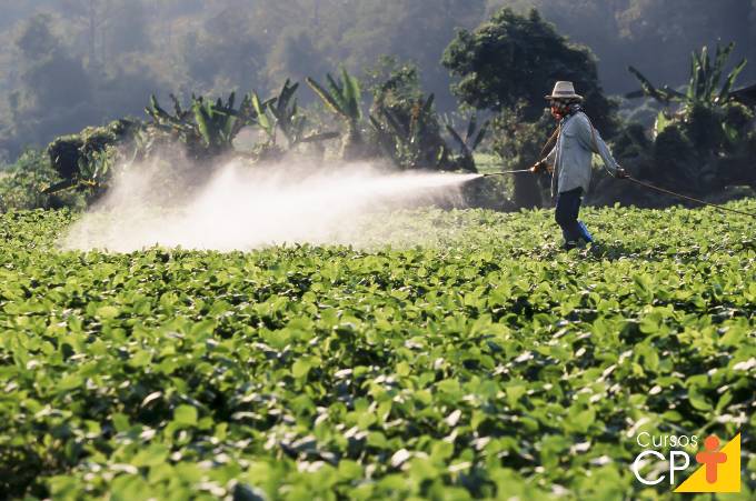 6 pragas inimigas do agronegócio 6 pragas inimigas do agronegócio