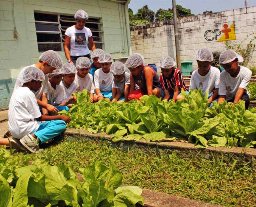 Sustentabilidade progressiva: o que dizem os estudiosos sobre ela? Artigos CPT Sustentabilidade progressiva: o que dizem os estudiosos sobre ela? Artigos CPT