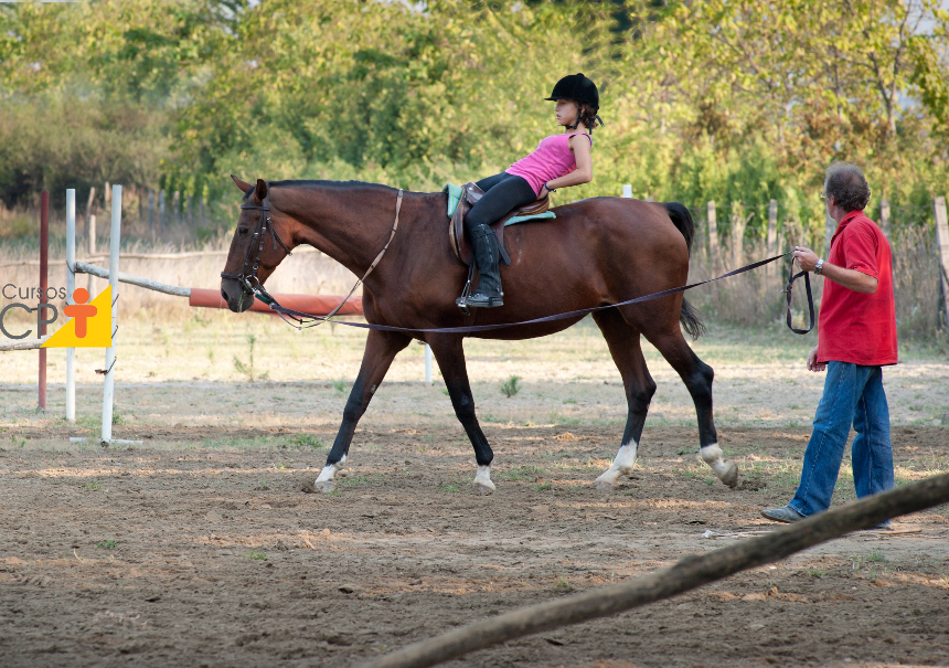Reabilitação equestre e equiterapia. Qual a diferença entre os dois? Artigos CPT Reabilitação equestre e equiterapia. Qual a diferença entre os dois? Artigos CPT