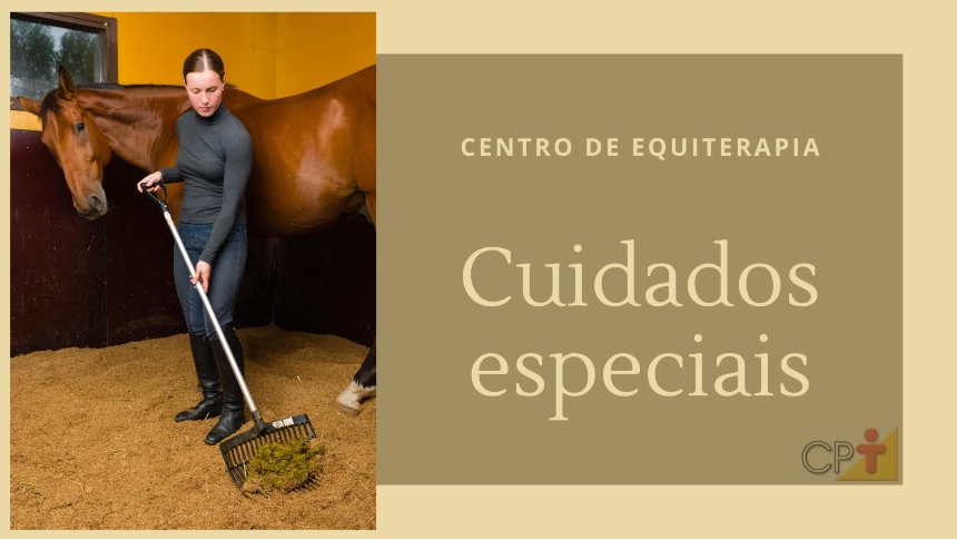 Vai montar um centro de equiterapia? Atenção especial à cama-baia!   Artigos CPT