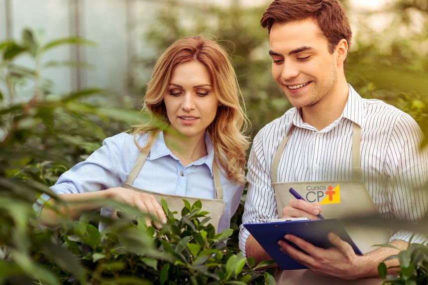 Sistemas de cultivo hidropônico e convencional: qual o mais vantajoso? Artigos CPT Sistemas de cultivo hidropônico e convencional: qual o mais vantajoso? Artigos CPT