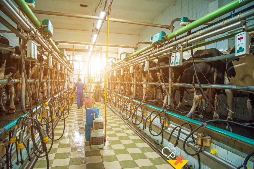 Gestão zootécnica na pecuária leiteira: boas práticas agropecuárias de acordo com a IN 77 CPT Gestão zootécnica na pecuária leiteira: boas práticas agropecuárias de acordo com a IN 77 CPT