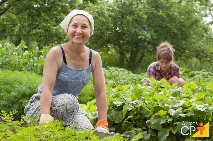 6 vantagens da agricultura familiar