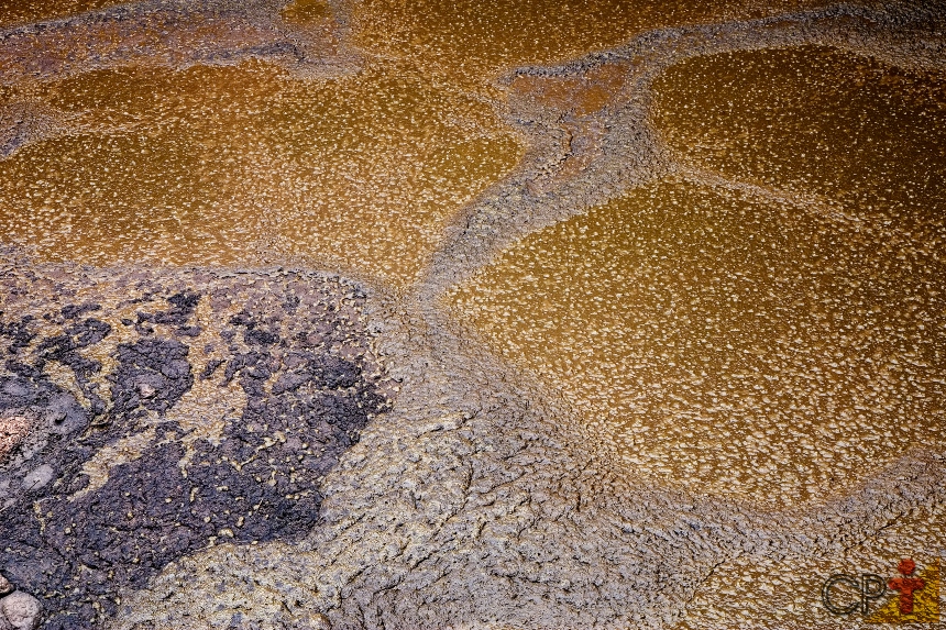 Biofertilizante Supermagro: o que é, para que serve e como fazer Artigos CPT Biofertilizante Supermagro: o que é, para que serve e como fazer Artigos CPT
