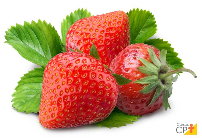 7 considerações importantes sobre irrigação de morangueiros 7 considerações importantes sobre irrigação de morangueiros
